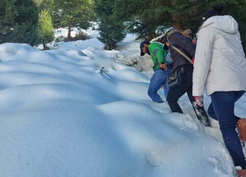 Manali-treck